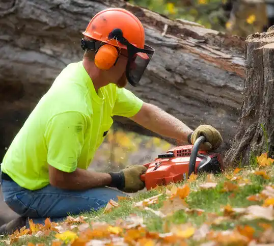 tree services Grimesland